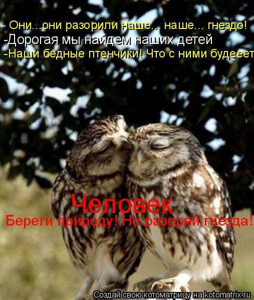 - Они...они разорили наше... наше... гнездо! -Дорогая мы найдем наших детей -Наши бедные птенчики! Чт... Котоматрица: - Они...они разорили наше... наше... гнездо! -Дорогая мы найдем наших детей -Наши бедные птенчики! Что с ними будееет? Человек Береги природу! Не