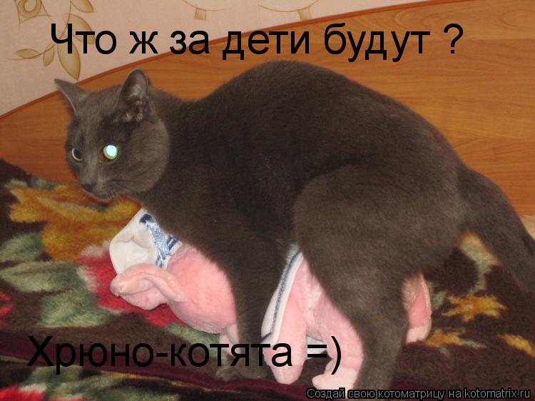 Что ж за дети будут ? Хрюно-котята =)... Котоматрица: Что ж за дети будут ? Хрюно-котята =)