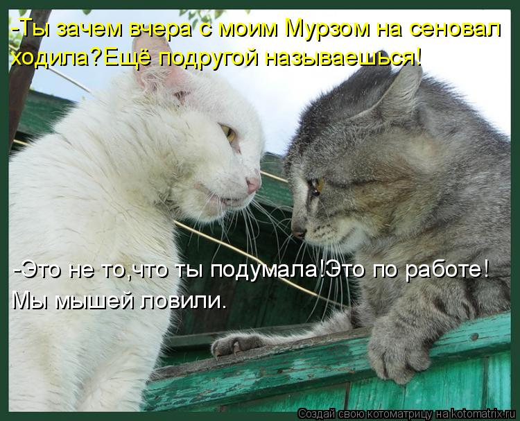 -Это не то,что ты подумала!Это по работе! Мы мышей ловили. -Ты зачем вчера с моим Мурзом на сеновал х... Котоматрица: -Это не то,что ты подумала!Это по работе! Мы мышей ловили. -Ты зачем вчера с моим Мурзом на сеновал ходила?Ещё подругой называешься!