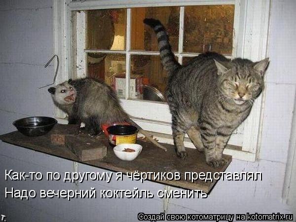 Как-то по другому я чёртиков представлял Надо вечерний коктейль сменить... Котоматрица: Как-то по другому я чёртиков представлял Надо вечерний коктейль сменить