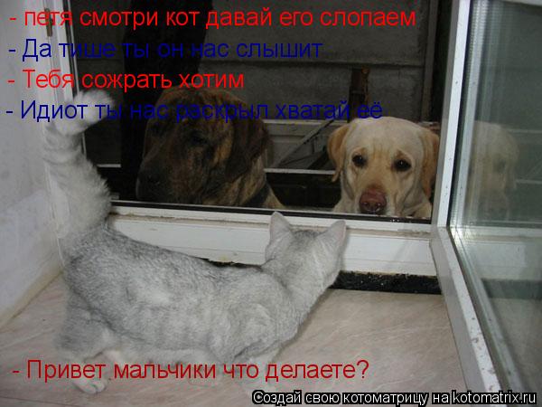 - петя смотри кот давай его слопаем - Да тише ты он нас слышит - Привет мальчики что делаете? - Тебя ... Котоматрица: - петя смотри кот давай его слопаем - Да тише ты он нас слышит - Привет мальчики что делаете? - Тебя сожрать хотим - Идиот ты нас раскрыл хватай