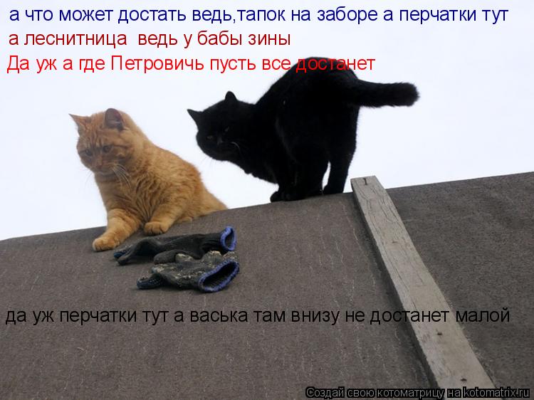 да уж перчатки тут а васька там внизу не достанет малой а что может достать ведь,тапок на заборе а пе... Котоматрица: да уж перчатки тут а васька там внизу не достанет малой а что может достать ведь,тапок на заборе а перчатки тут а леснитница ведь у бабы зин