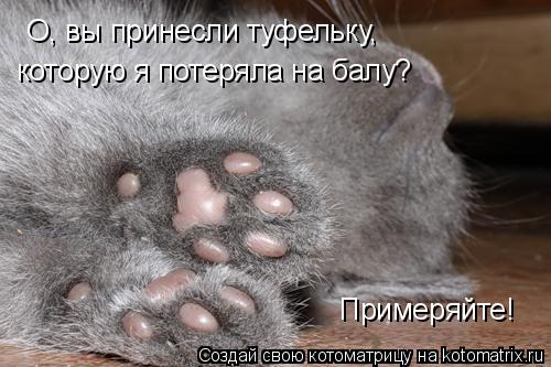 О, вы принесли туфельку, которую я потеряла на балу? Примеряйте!... Котоматрица: О, вы принесли туфельку, которую я потеряла на балу? Примеряйте!