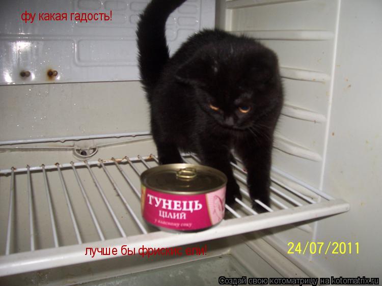 фу какая гадость! лучше бы фрискис ели!... Котоматрица: фу какая гадость! лучше бы фрискис ели!