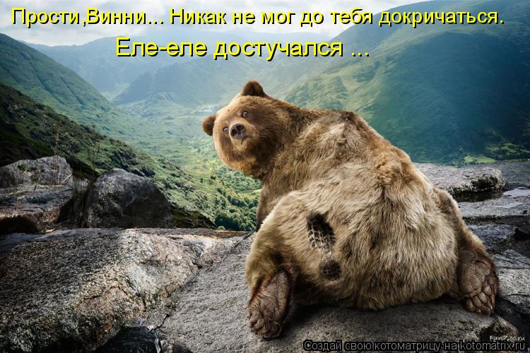 Прости,Винни... Никак не мог до тебя докричаться. Еле-еле достучался ...... Котоматрица: Прости,Винни... Никак не мог до тебя докричаться. Еле-еле достучался ...