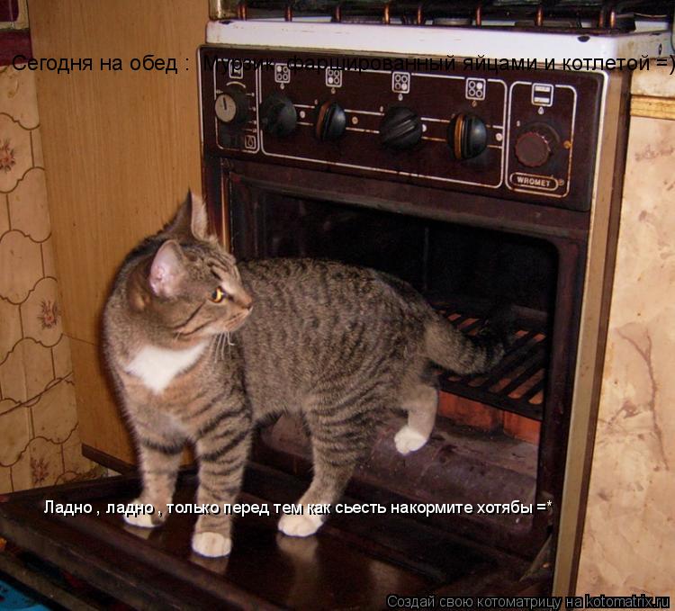 Сегодня на обед : Мурзик фаршированный яйцами и котлетой =) Ладно , ладно , только перед тем как сь... Котоматрица: Сегодня на обед : Мурзик фаршированный яйцами и котлетой =) Ладно , ладно , только перед тем как сьесть накормите хотябы =*
