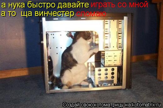 играть со мной а нука быстро давайте а то ща винчестер сломаю... Котоматрица: играть со мной а нука быстро давайте а то ща винчестер сломаю