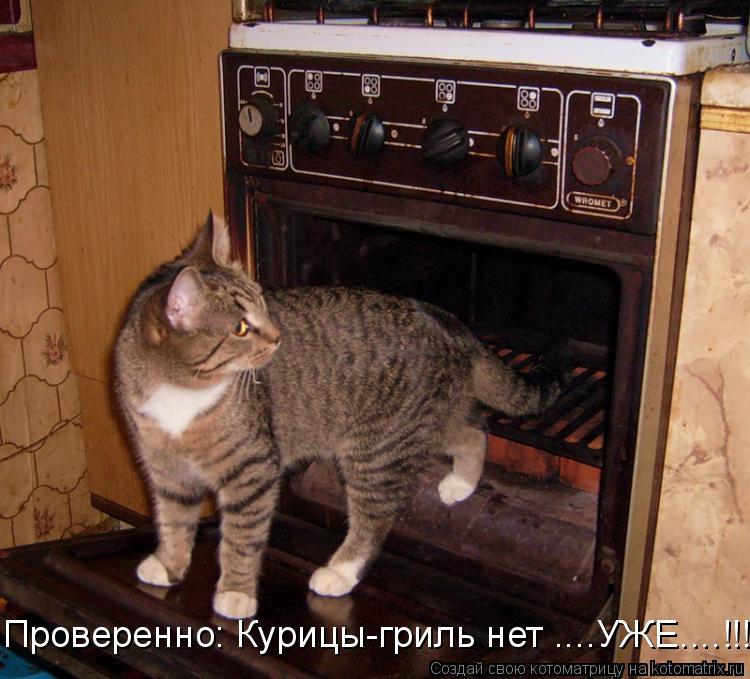 Проверенно: Курицы-гриль нет ....УЖЕ....!!!... Котоматрица: Проверенно: Курицы-гриль нет ....УЖЕ....!!!