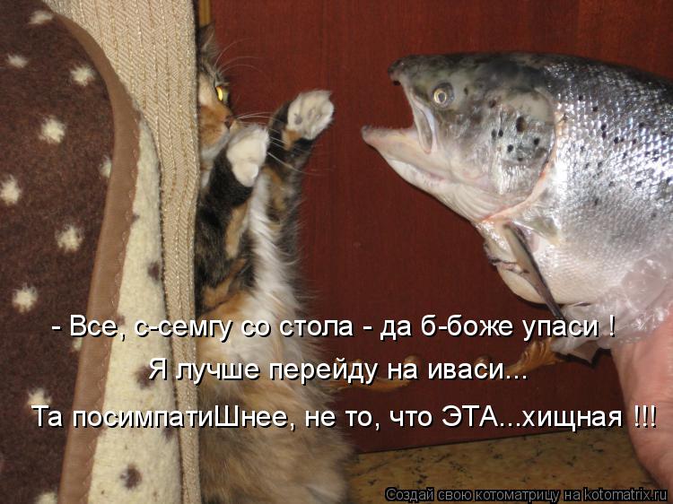 Та посимпатиШнее, не то, что ЭТА...хищная !!! Я лучше перейду на иваси... - Все, с-семгу со стола - д... Котоматрица: Та посимпатиШнее, не то, что ЭТА...хищная !!! Я лучше перейду на иваси... - Все, с-семгу со стола - да б-боже упаси !