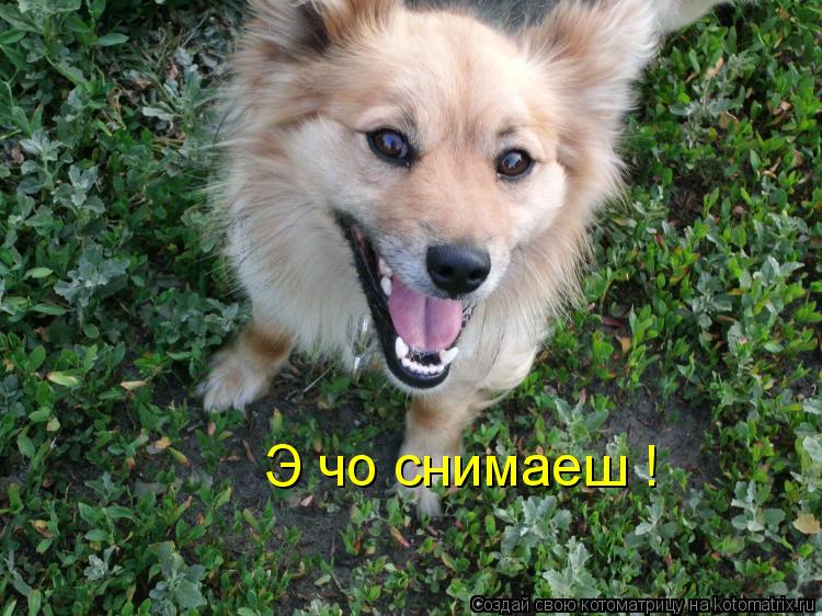 Котоматрица: Э чо снимаеш !