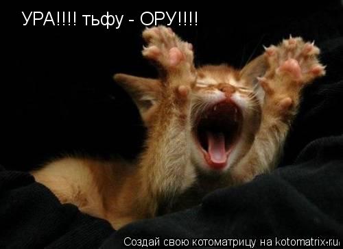 Котоматрица: УРА!!!! тьфу - ОРУ!!!!