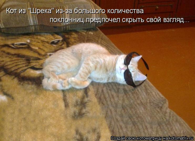 Котоматрица: Кот из "Шрека" из-за большого количества  поклонниц предпочел скрыть свой взгляд...