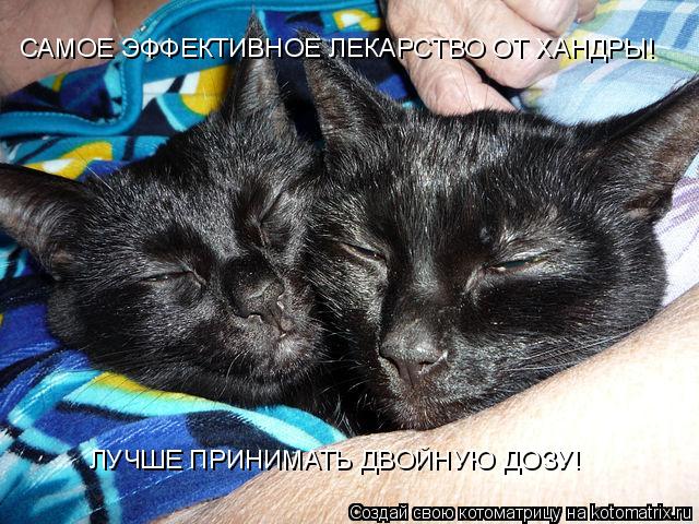 САМОЕ ЭФФЕКТИВНОЕ ЛЕКАРСТВО ОТ ХАНДРЫ! ЛУЧШЕ ПРИНИМАТЬ ДВОЙНУЮ ДОЗУ!... Котоматрица: САМОЕ ЭФФЕКТИВНОЕ ЛЕКАРСТВО ОТ ХАНДРЫ! ЛУЧШЕ ПРИНИМАТЬ ДВОЙНУЮ ДОЗУ!