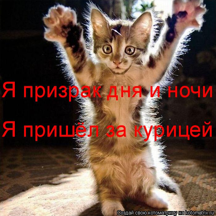 Я призрак дня и ночи Я пришёл за курицей... Котоматрица: Я призрак дня и ночи Я пришёл за курицей