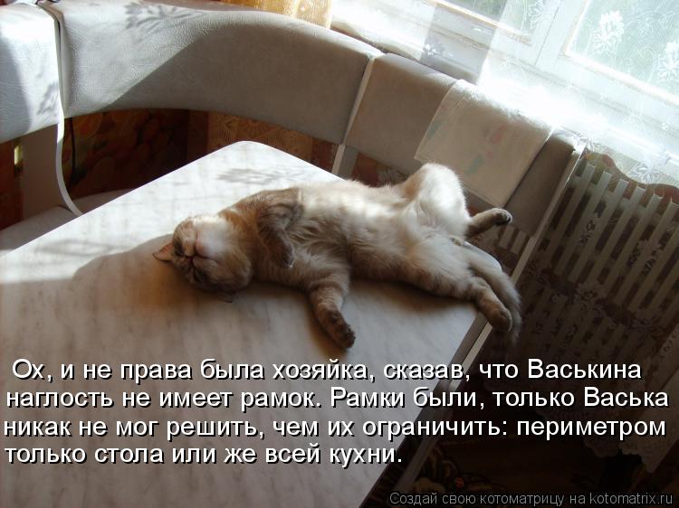 Ох, и не права была хозяйка, сказав, что Васькина наглость не имеет рамок. Рамки были, только Васька... Котоматрица: Ох, и не права была хозяйка, сказав, что Васькина наглость не имеет рамок. Рамки были, только Васька никак не мог решить, чем их ограничить: п