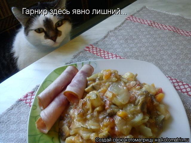 Гарнир здесь явно лишний...... Котоматрица: Гарнир здесь явно лишний...