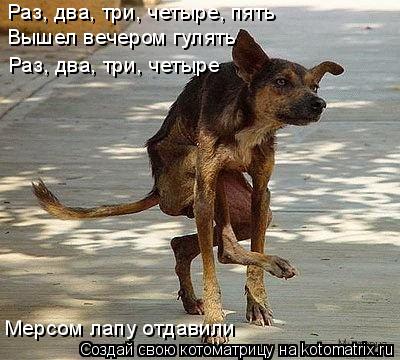 Раз, два, три, четыре, пять Вышел вечером гулять Раз, два, три, четыре Мерсом лапу отдавили... Котоматрица: Раз, два, три, четыре, пять Вышел вечером гулять Раз, два, три, четыре Мерсом лапу отдавили