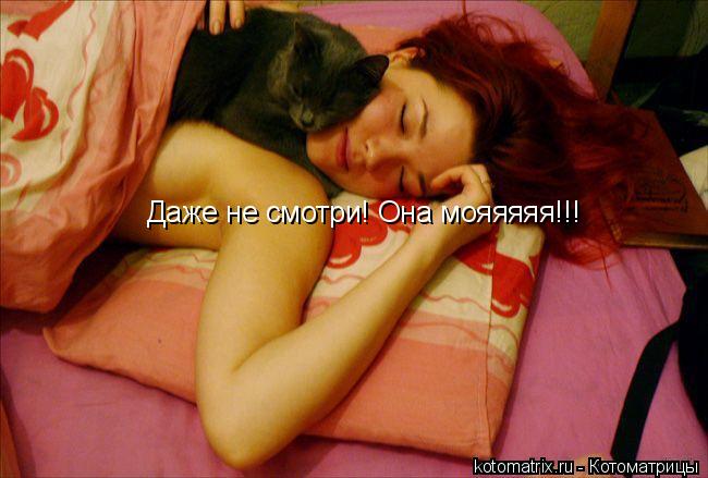 Даже не смотри! Она мояяяяя!!!... Котоматрица: Даже не смотри! Она мояяяяя!!!