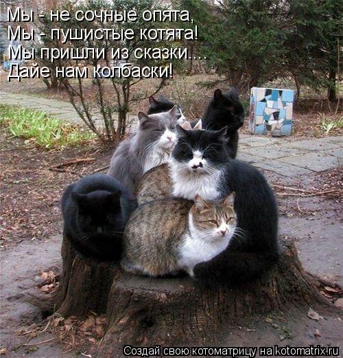 Мы - не сочные опята, Мы - пушистые котята! Мы пришли из сказки.... Дайе нам колбаски!... Котоматрица: Мы - не сочные опята, Мы - пушистые котята! Мы пришли из сказки.... Дайе нам колбаски!