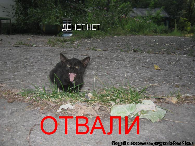 ДЕНЕГ НЕТ ОТВАЛИ... Котоматрица: ДЕНЕГ НЕТ ОТВАЛИ