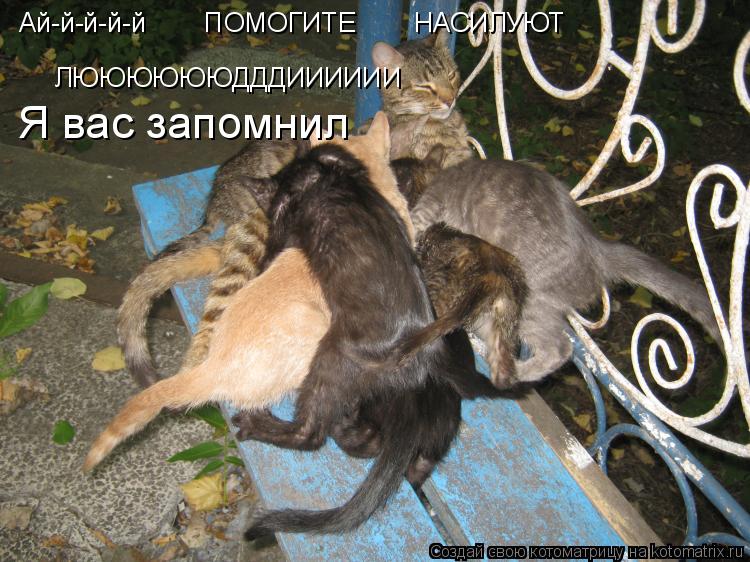 Ай-й-й-й-й ПОМОГИТЕ НАСИЛУЮТ ЛЮЮЮЮЮЮДДДИИИИИИ Я вас запомнил... Котоматрица: Ай-й-й-й-й ПОМОГИТЕ НАСИЛУЮТ ЛЮЮЮЮЮЮДДДИИИИИИ Я вас запомнил