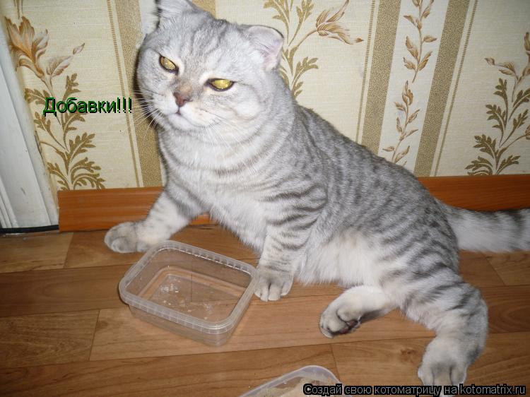 Добавки!!!... Котоматрица: Добавки!!!