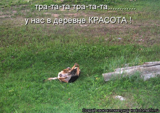 тра-та-та тра-та-та............ у нас в деревне КРАСОТА !... Котоматрица: тра-та-та тра-та-та............ у нас в деревне КРАСОТА !