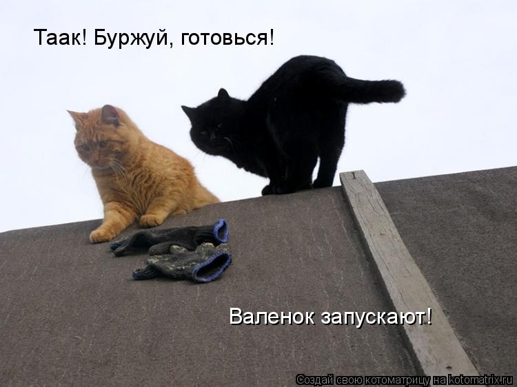 Таак! Буржуй, готовься! Валенок запускают!... Котоматрица: Таак! Буржуй, готовься! Валенок запускают!
