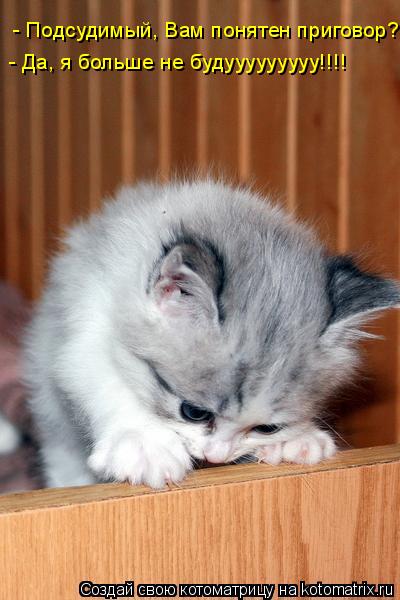- Подсудимый, Вам понятен приговор? - Да, я больше не будууууууууу!!!!... Котоматрица: - Подсудимый, Вам понятен приговор? - Да, я больше не будууууууууу!!!!