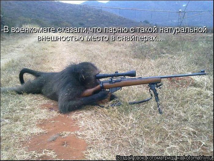 -В военкомате сказали,что парню с такой натуральной внешностью место в снайперах...... Котоматрица: -В военкомате сказали,что парню с такой натуральной внешностью место в снайперах...