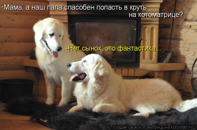 Мама, а наш папа спасобен попасть в круть на котоматрице? -Нет сынок, это фантастика... -... Котоматрица: Мама, а наш папа спасобен попасть в круть на котоматрице? -Нет сынок, это фантастика... -