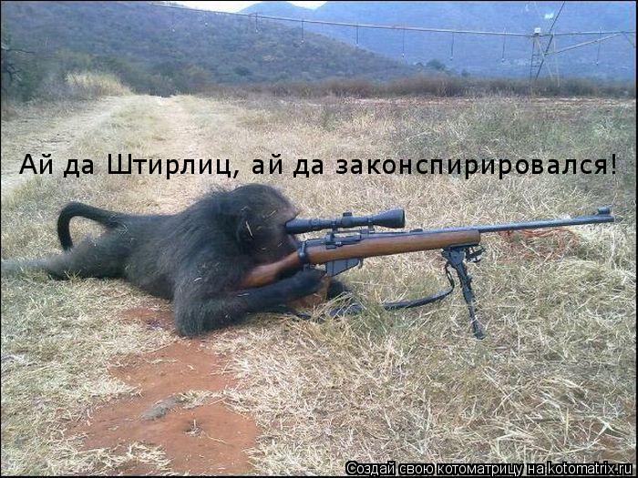 Ай да Штирлиц, ай да законспирировался!... Котоматрица: Ай да Штирлиц, ай да законспирировался!