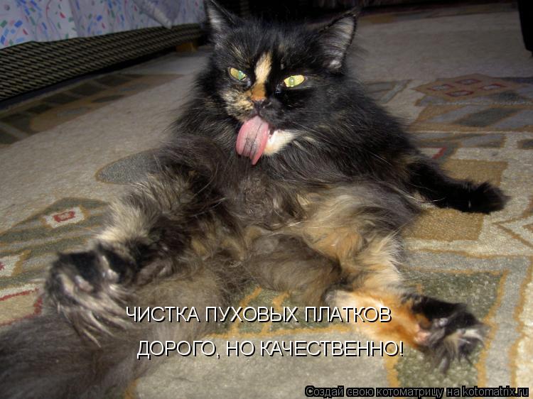 ЧИСТКА ПУХОВЫХ ПЛАТКОВ ДОРОГО, НО КАЧЕСТВЕННО!... Котоматрица: ЧИСТКА ПУХОВЫХ ПЛАТКОВ ДОРОГО, НО КАЧЕСТВЕННО!