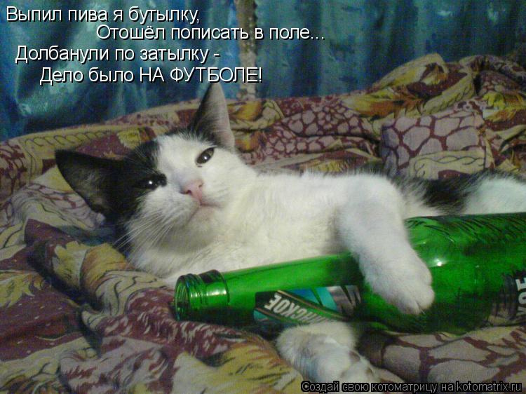Выпил пива я бутылку, Отошёл пописать в поле... Долбанули по затылку - Дело было НА ФУТБОЛЕ!... Котоматрица: Выпил пива я бутылку, Отошёл пописать в поле... Долбанули по затылку - Дело было НА ФУТБОЛЕ!