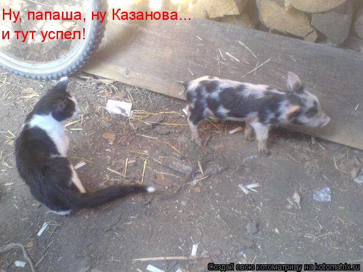 Ну, папаша, ну Казанова... и тут успел!... Котоматрица: Ну, папаша, ну Казанова... и тут успел!