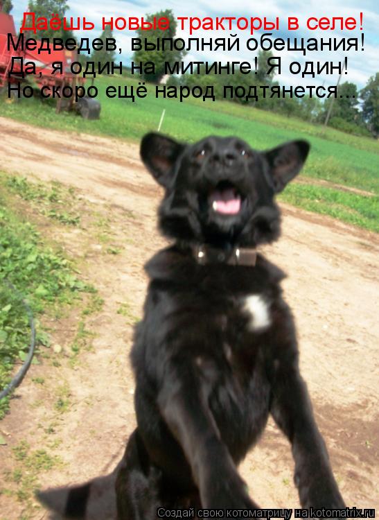 Даёшь новые тракторы в селе! Медведев, выполняй обещания! Да, я один на митинге! Я один! Но скоро ещё... Котоматрица: Даёшь новые тракторы в селе! Медведев, выполняй обещания! Да, я один на митинге! Я один! Но скоро ещё народ подтянется...