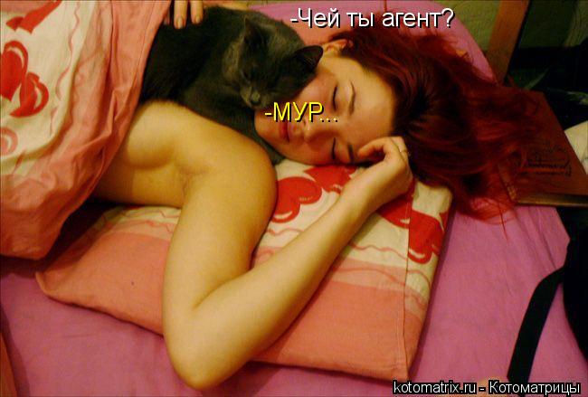 -Чей ты агент? -МУР...... Котоматрица: -Чей ты агент? -МУР...