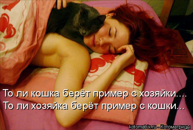 То ли кошка берёт пример с хозяйки.... То ли хозяйка берёт пример с кошки...... Котоматрица: То ли кошка берёт пример с хозяйки.... То ли хозяйка берёт пример с кошки...