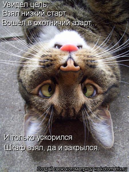 Увидел цель, Взял низкий старт, Вошёл в охотничий азарт... И только ускорился Шкаф взял, да и закрылс... Котоматрица: Увидел цель, Взял низкий старт, Вошёл в охотничий азарт... И только ускорился Шкаф взял, да и закрылся.