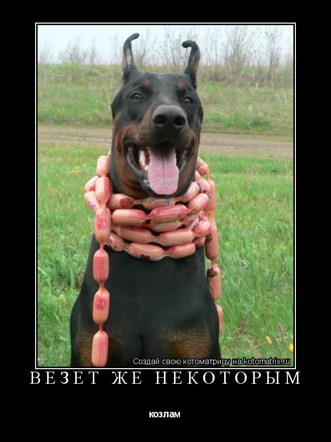 ВЕЗЕТ ЖЕ НЕКОТОРЫМ козлам... Котоматрица: ВЕЗЕТ ЖЕ НЕКОТОРЫМ козлам