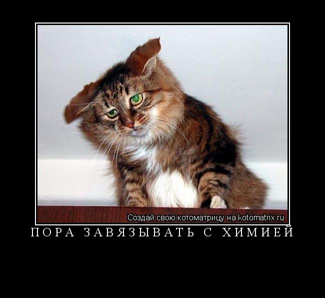 пора завязывать с химией ... Котоматрица: пора завязывать с химией