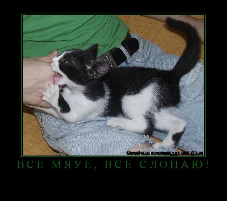 Котоматрица: Все мяуё, все слопаю! 