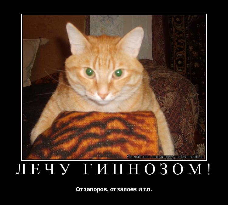 ЛЕЧУ ГИПНОЗОМ! От запоров, от запоев и т.п.... Котоматрица: ЛЕЧУ ГИПНОЗОМ! От запоров, от запоев и т.п.