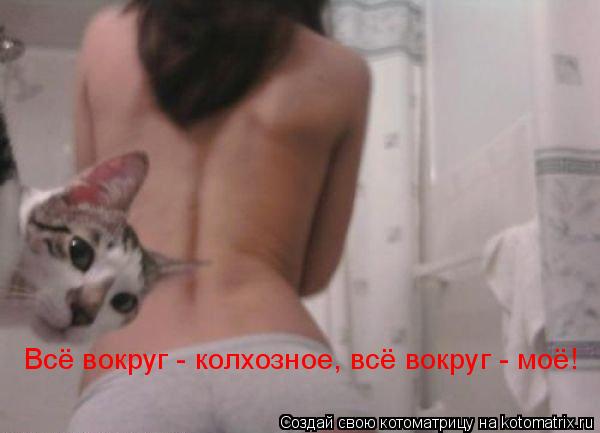 Всё вокруг - колхозное, всё вокруг - моё!... Котоматрица: Всё вокруг - колхозное, всё вокруг - моё!