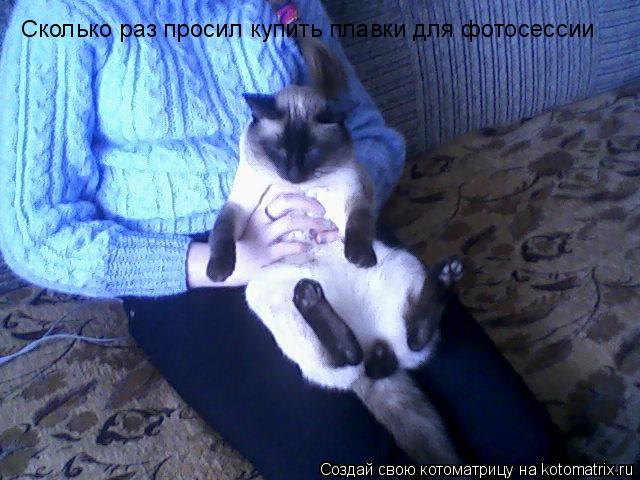 Сколько раз просил купить плавки для фотосессии... Котоматрица: Сколько раз просил купить плавки для фотосессии