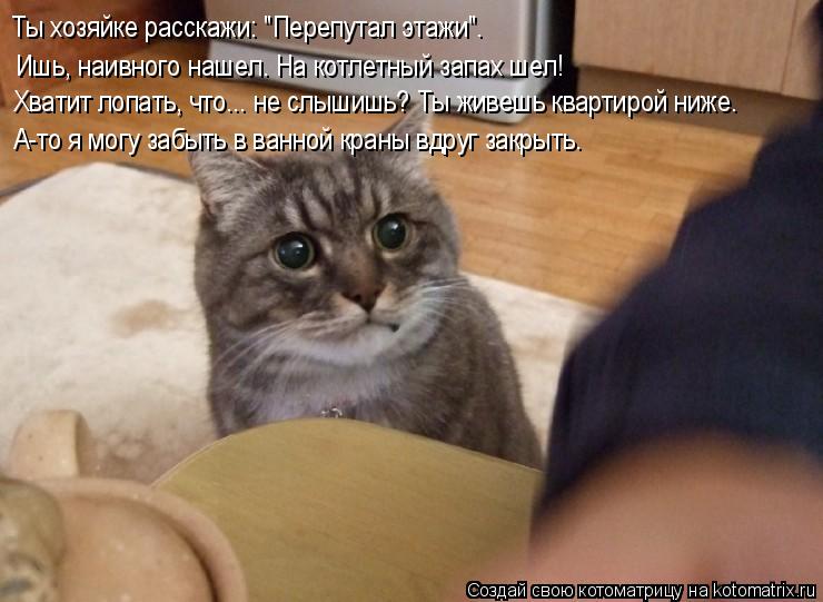 Ты хозяйке расскажи: "Перепутал этажи". Ишь, наивного нашел. На котлетный запах шел! Хватит лопать, ч... Котоматрица: Ты хозяйке расскажи: "Перепутал этажи". Ишь, наивного нашел. На котлетный запах шел! Хватит лопать, что... не слышишь? Ты живешь квартирой ниже.