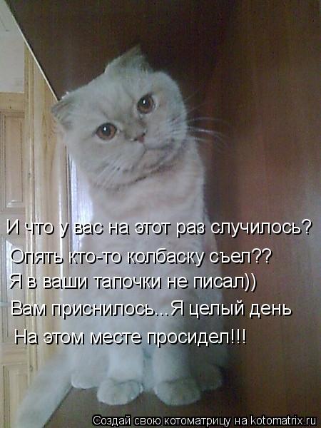 И что у вас на этот раз случилось? Опять кто-то колбаску съел?? Я в ваши тапочки не писал)) Вам присн... Котоматрица: И что у вас на этот раз случилось? Опять кто-то колбаску съел?? Я в ваши тапочки не писал)) Вам приснилось...Я целый день На этом месте просидел!