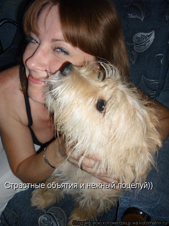 Страстные объятия и нежный поцелуй))... Котоматрица: Страстные объятия и нежный поцелуй))