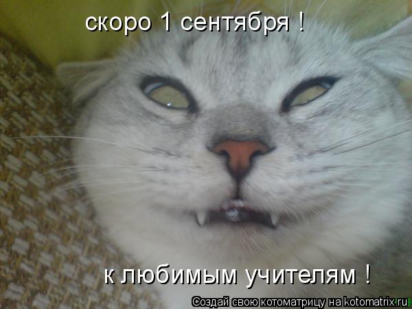 скоро 1 сентября ! к любимым учителям !... Котоматрица: скоро 1 сентября ! к любимым учителям !