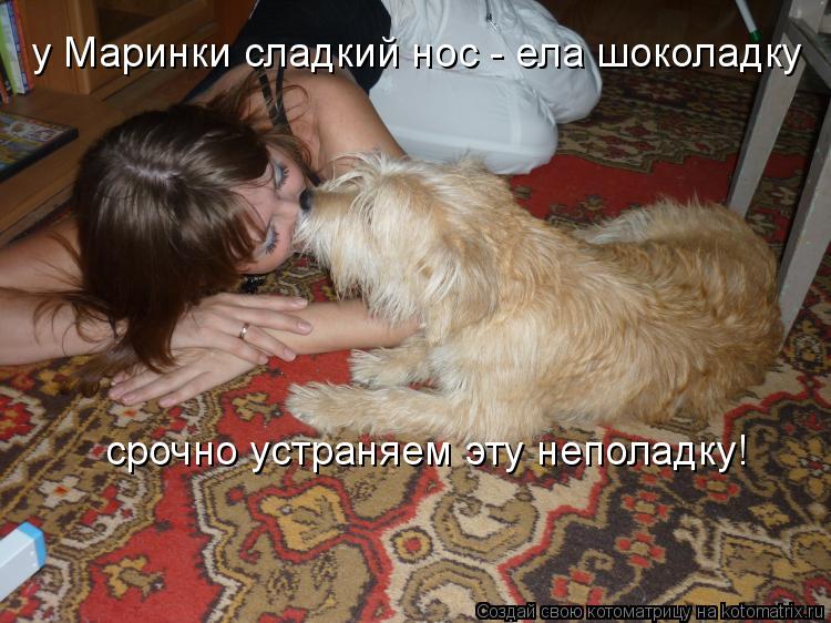 у Маринки сладкий нос - ела шоколадку срочно устраняем эту неполадку!... Котоматрица: у Маринки сладкий нос - ела шоколадку срочно устраняем эту неполадку!